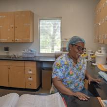 lab 
